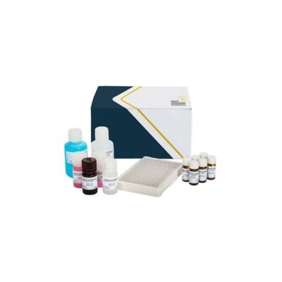 Kit Elisa per la determinazione dell'aflatossina B1 nei cereali e nelle noci in piastra - AB1-E01