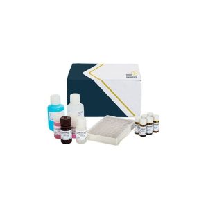 Kit Elisa per la determinazione del Cloramfenicolo nel latte in altri prodotti alimentari in piastra - CAP-E02