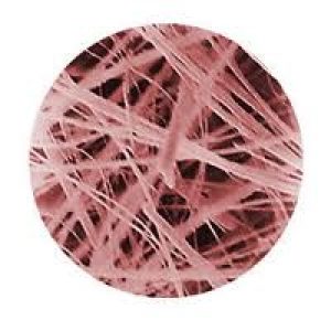 Filtro in microfibra di quarzo Ø mm 25 cf. 25 pz. - 889-025