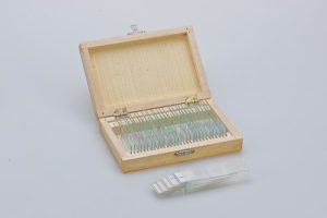 Set di vetrini preparati per microscopia cf.25 pz. - 6503700701