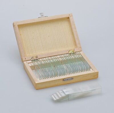 Set di vetrini preparati per microscopia cf.25 pz. - 6503700701