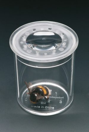Lente d'ingrandimento con coperchio removibile ingrandimenti 5x - 800374214