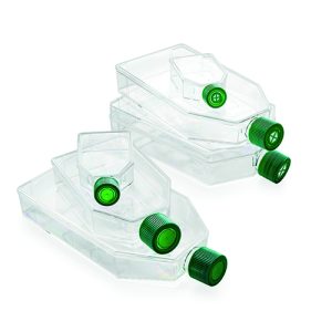 Fiasca trattata per colture cellulari vol. 70 ml 5 area interna cm2 25 cf. 300 pz. - 25025