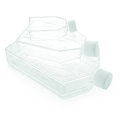 Fiasca non trattata per colture cellulari vol. 70 ml 5 area interna cm2 25 cf. 300 pz. - 20035