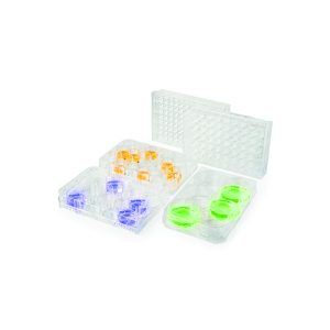 Piastra multipozzetto per colture cellulari non trattata a 6 pozzetti Ø cm 3,46 cf.50 pz. - 6006